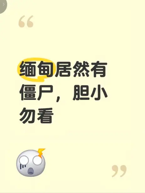 《缅甸僵尸出土事件》高清完整版在线免费播放-缅北神秘事件现场录像揭秘-无删减全集资源