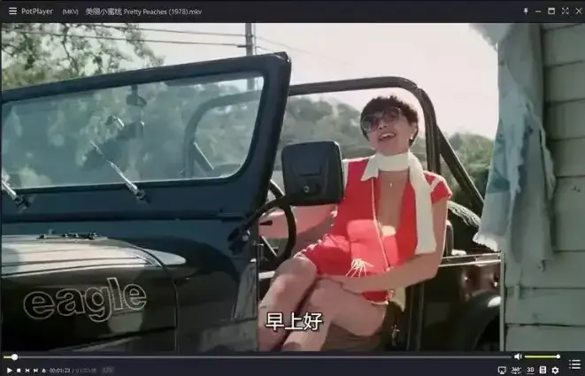 《美丽小蜜桃》未删减高清完整版免费观看-1978年美国喜剧电影在线播放-《美丽小蜜桃》HD中字无广告观看