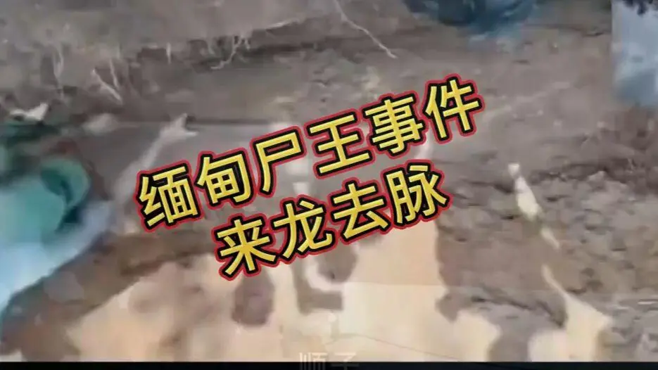 《缅甸僵尸出土事件视频》完整版资源在线观看免费播放 - 缅北僵尸出土事件始末原视频高清下载 超清未删减全程录像